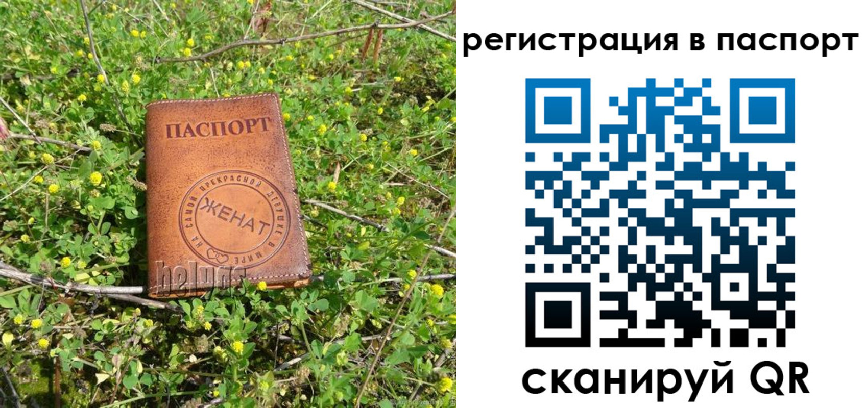 прописка законно в Раменском